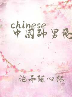 chinese中国帅男飞机