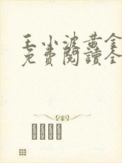 王小波黄金时代免费阅读全文