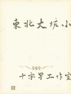 东北大坑小说
