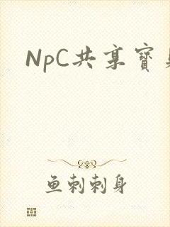 NpC共享宝贝