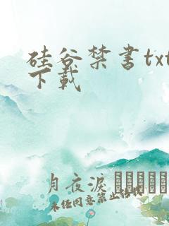 硅谷禁书txt下载