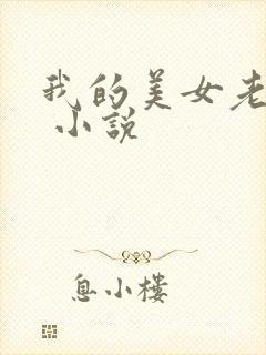 我的美女老婆们 小说