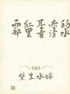 面红耳赤的小说哪里看清水村花