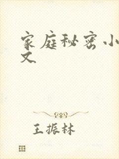家庭秘密小说全文