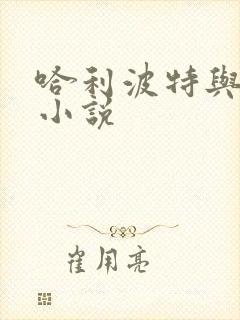 哈利波特与密室小说