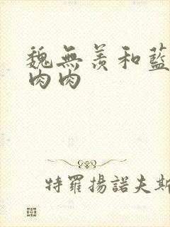 魏无羡和蓝忘机肉肉