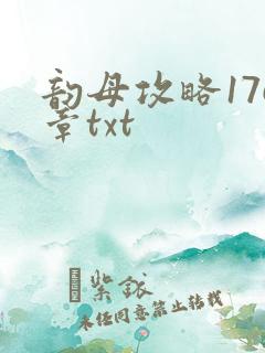 韵母攻略176章txt