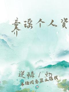 童瑶个人资料简介