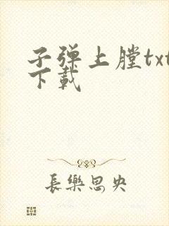 子弹上膛txt下载