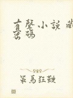 有声小说 藏地密码