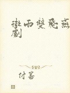 微雨双飞燕电视剧