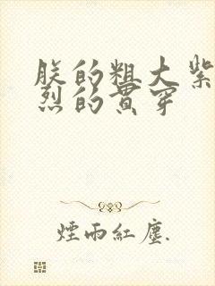 朕的粗大紫红猛烈的贯穿