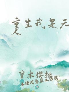 重生我是元帅夫人