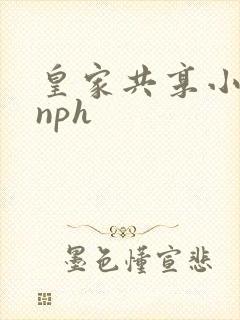 皇家共享小公主nph