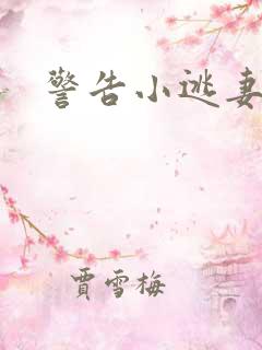 警告小逃妻