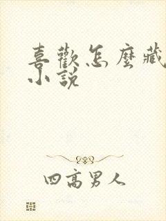 喜欢怎么藏不住小说