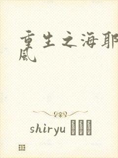 重生之海耶斯旋风