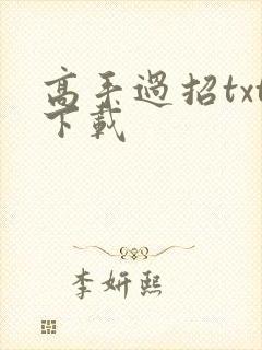 高手过招txt下载