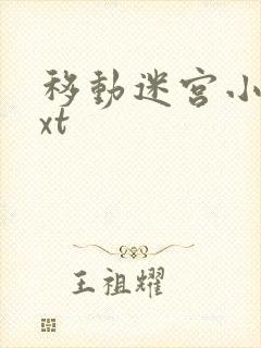 移动迷宫小说txt