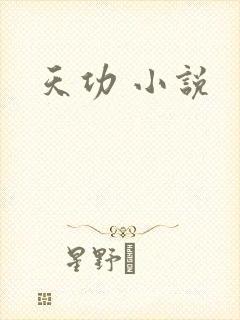 天功 小说