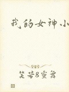 我的女神小说