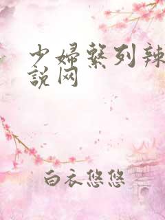 少妇系列辣文小说网