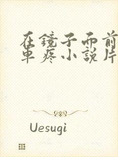 在镜子面前做开车疼小说片段