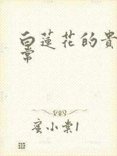 白莲花的贵妇日常