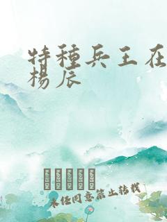 特种兵王在都市杨辰