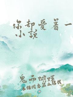 你却爱着一个他 小说