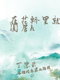 在花轿里就开始圆房h