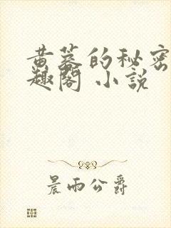 黄蓉的秘密 笔趣阁 小说