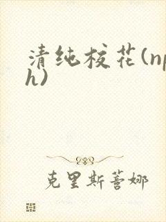 清纯校花(nph)