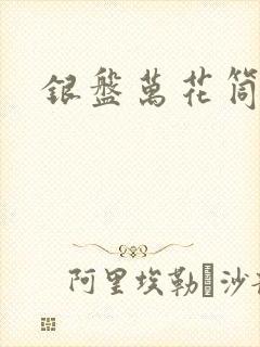 银盘万花筒小说