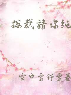 总裁请你纯洁点