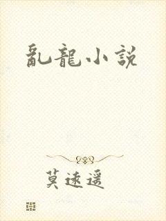 乱龙小说