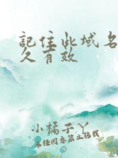 记住此域名记永久有效