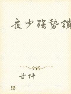 夜少强势锁婚