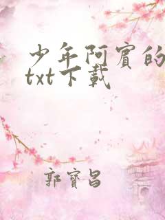 少年阿宾的故事txt下载