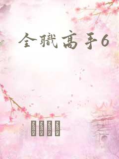 全职高手6
