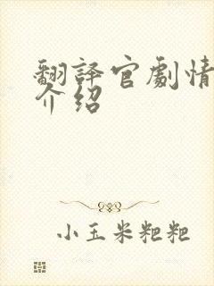 翻译官剧情分集介绍