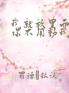 我就放里面不动你不用动我动