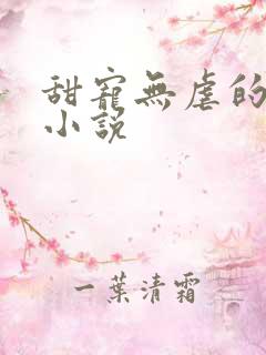 甜宠无虐的军婚小说