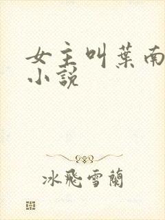 女主叫叶南初的小说