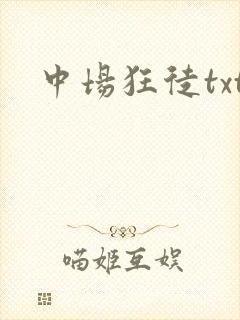 中场狂徒txt