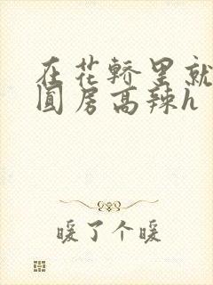 在花轿里就开始圆房高辣h