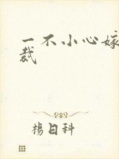 一不小心嫁给总裁