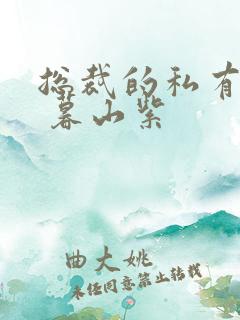 总裁的私有宝贝 暮山紫