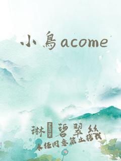 小鸟acome