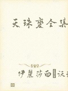 天珠变全集下载